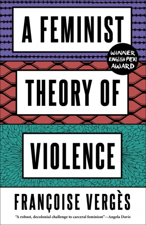 A Feminist Theory of Violence